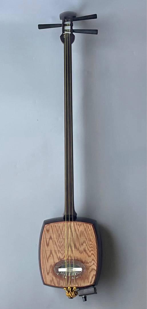 レア楽器　「サバミセン」　エレクトリック対応、撥・ハードケース付き