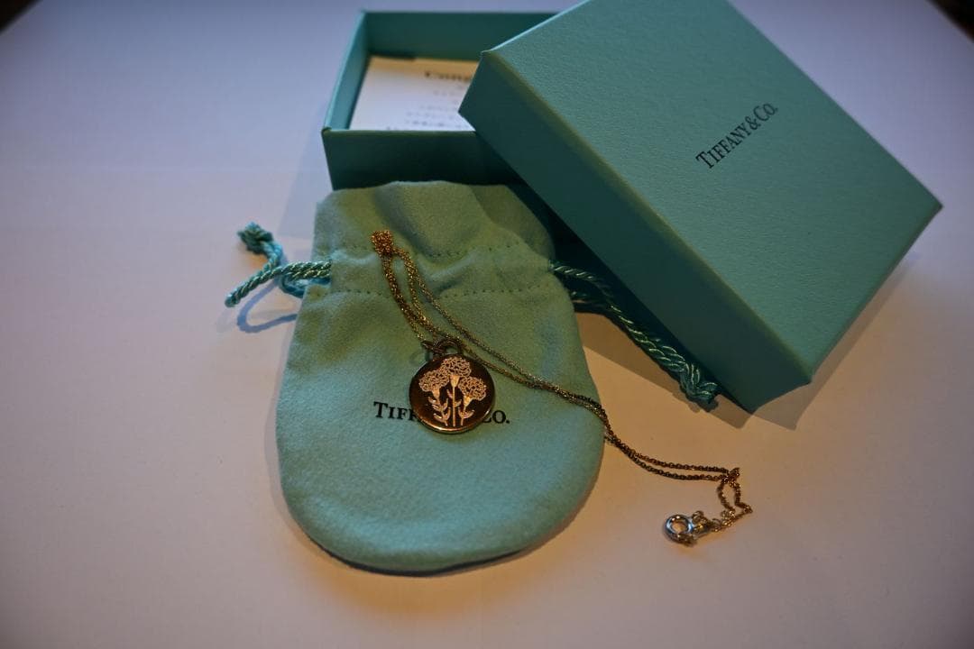 名古屋ウィメンズマラソン 2022年　ティファニー