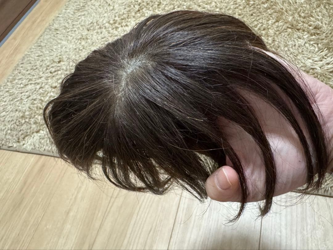 ダークブラウン ショートウィッグ クリップ式