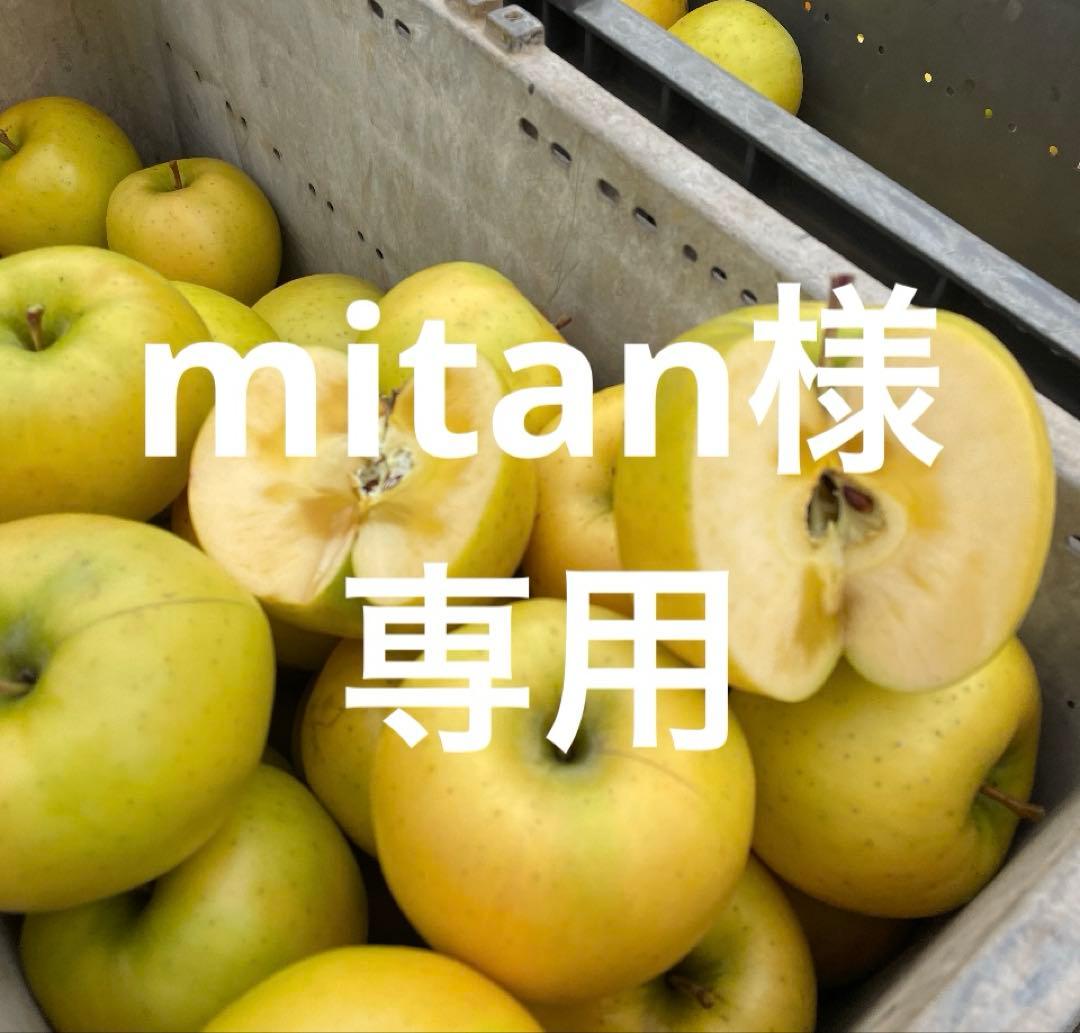 果物 mitan
