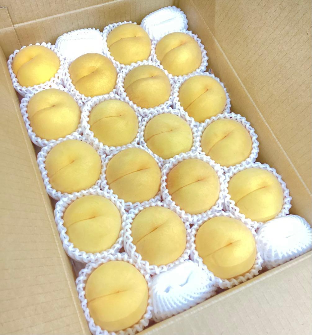 リオン　クール便　マンゴーピーチ　品種お任せ　5キロ箱✖️２箱 ご家庭用