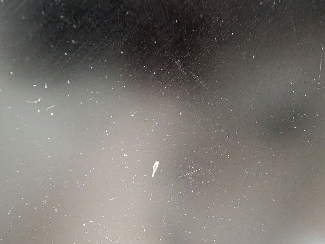 Dell S2421HN モニター