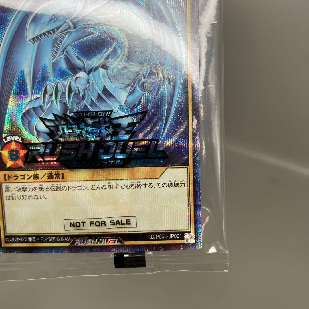 ● 未開封　ラッシュ 青眼の白龍　RD/P004-JP001 N5497