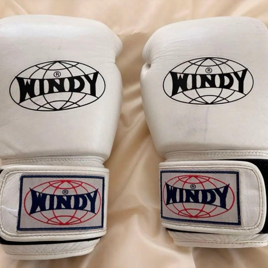 WGNDY ボクシンググローブ 16オンス