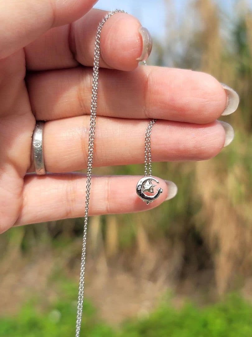 巡礼のご縁で結ばれた❤️願い事ネックレス