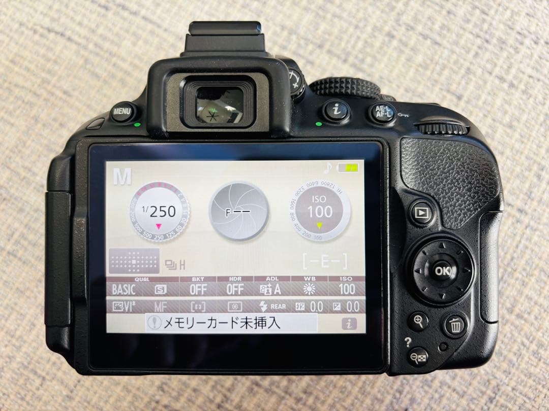 Nikon D5300 レンズ2本セット