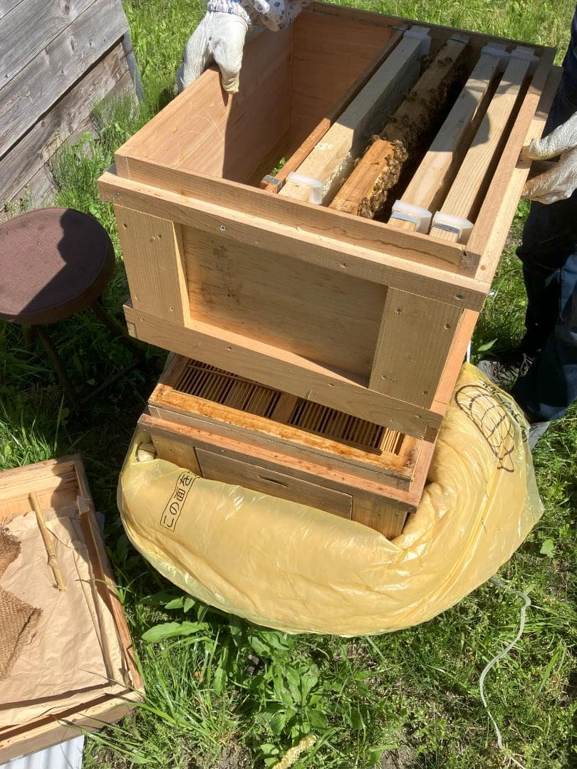 【Haruさま専用】　国産蜂蜜 1000g 4本 百花蜜 セイヨウミツバチ