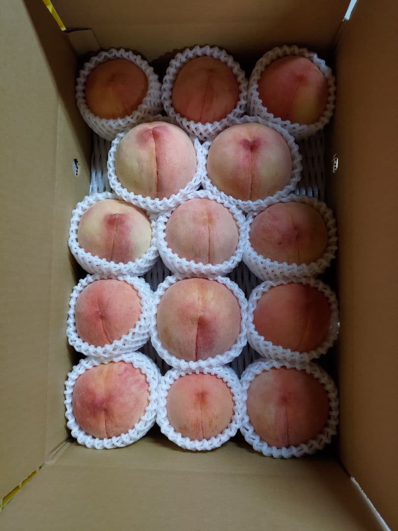 桃山さん専用　特大　桃　さくら白桃　わけあり　10kg