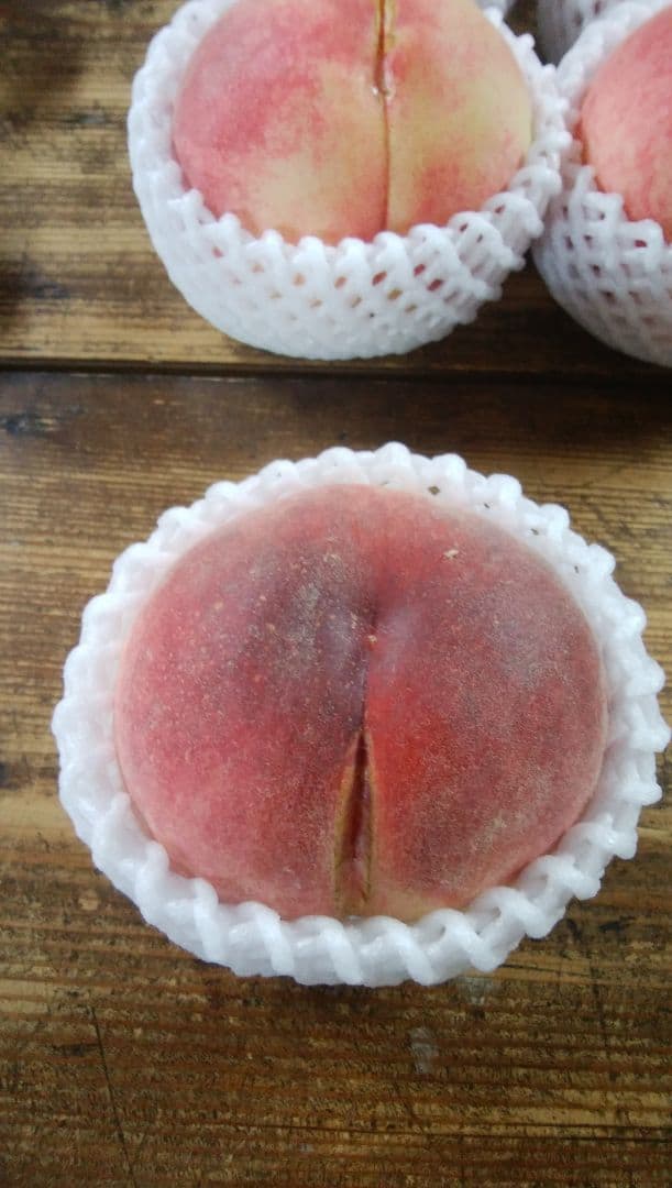 桃山さん専用　特大　桃　さくら白桃　わけあり　10kg