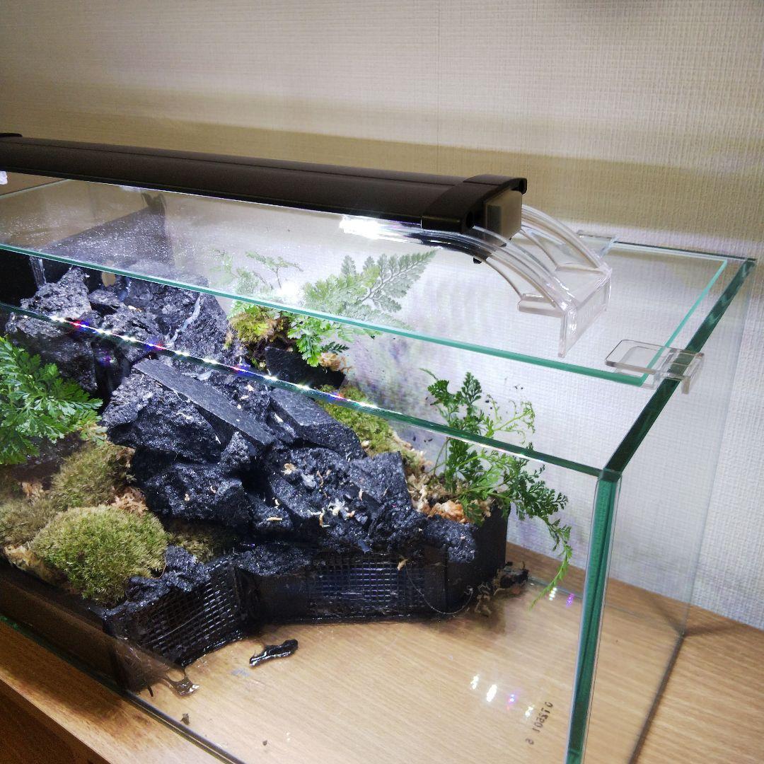 【受注生産】滝の流れるアクアテラリウム　イモリウム　苔　水槽　苔テラリウム