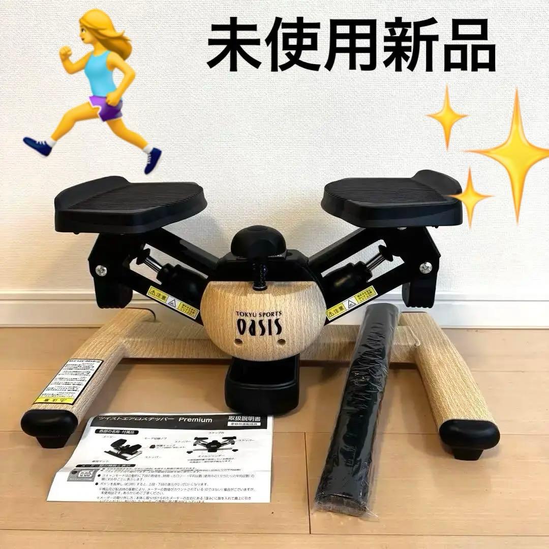 未使用❣️送料無料廃盤デザインツイストエアロステッパープレミアムスポーツオアシス