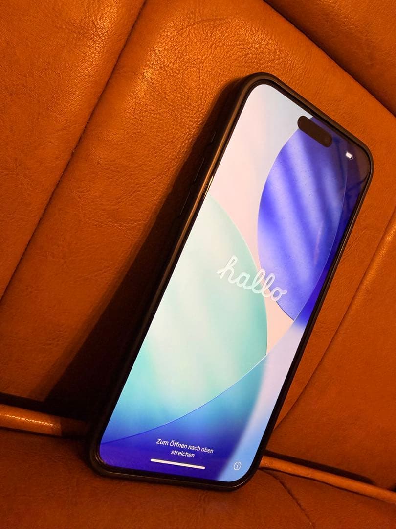 シャッター消音可 iPhone 15 Pro Max 256GB 海外 おまけ有