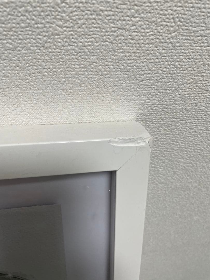 VALENTINOオリバーガル OLIVER GAL 正規品