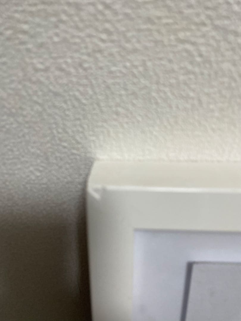 VALENTINOオリバーガル OLIVER GAL 正規品