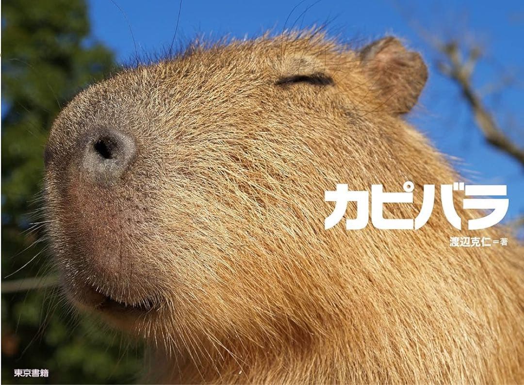 かぴばらセット