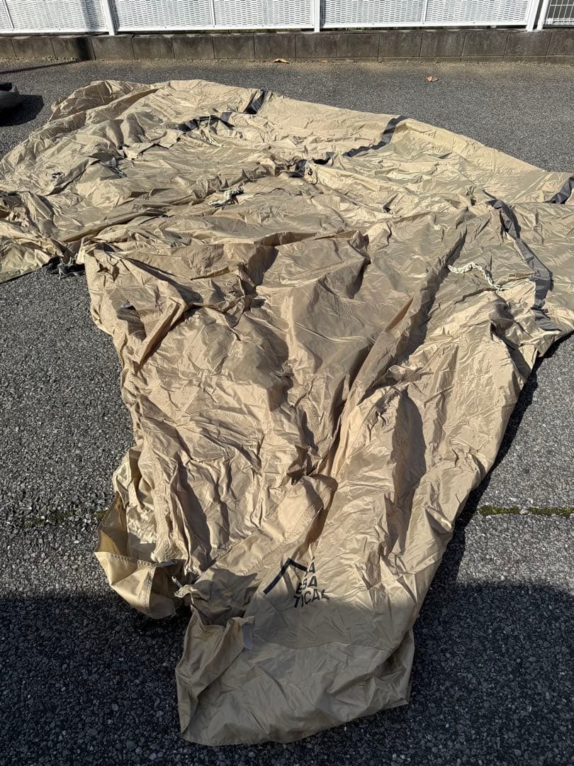 Sabbatical アルニカ