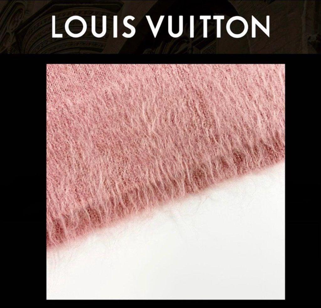 【希少品‼️】ルイヴィトン モヘアニットLサイズ【超美品】
