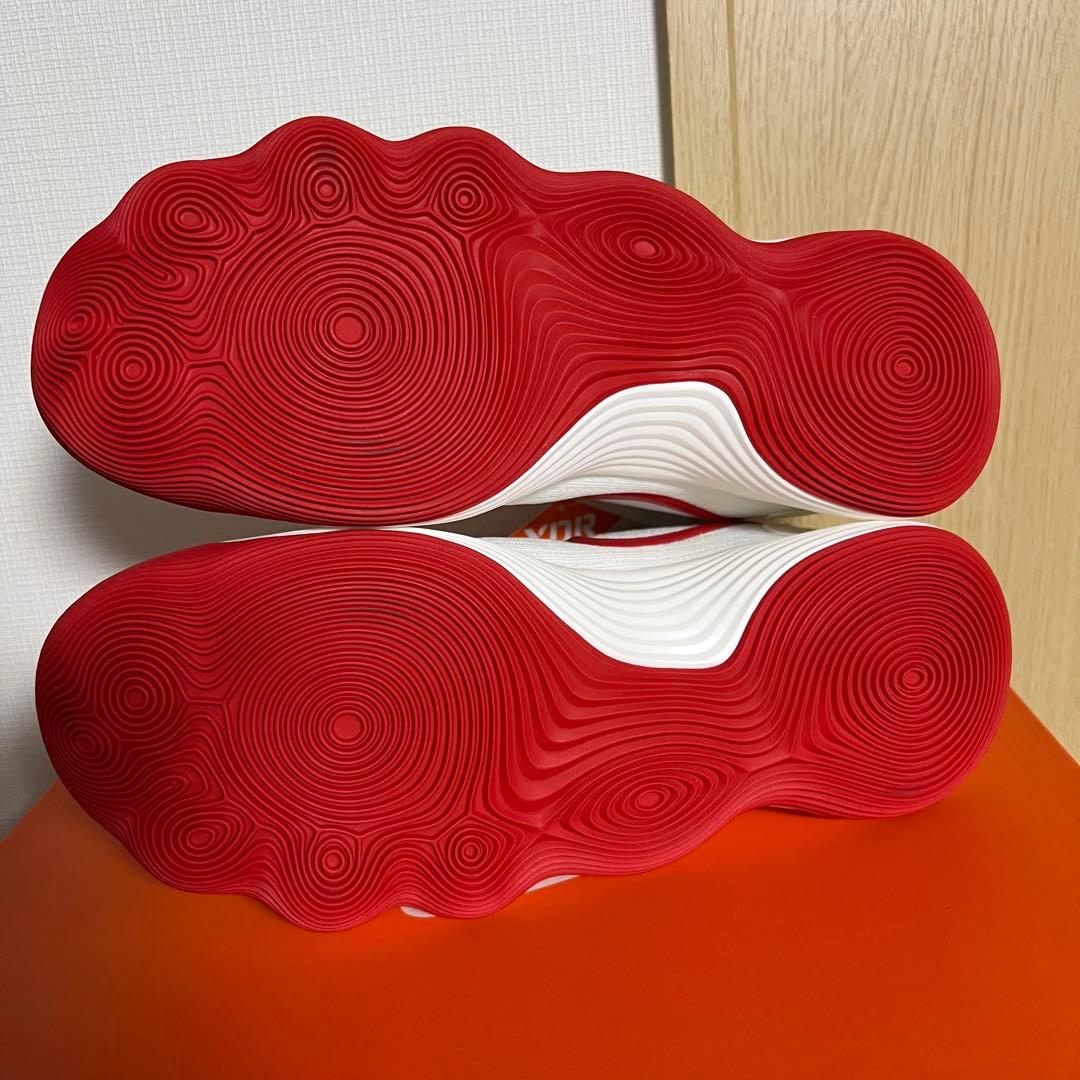 Hyper Dunk 2017 low ハイパーダンク　日本国旗カラー　赤白