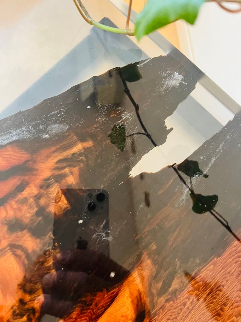 屋久杉　ソファテーブル　レジンテーブル　サイドテーブル