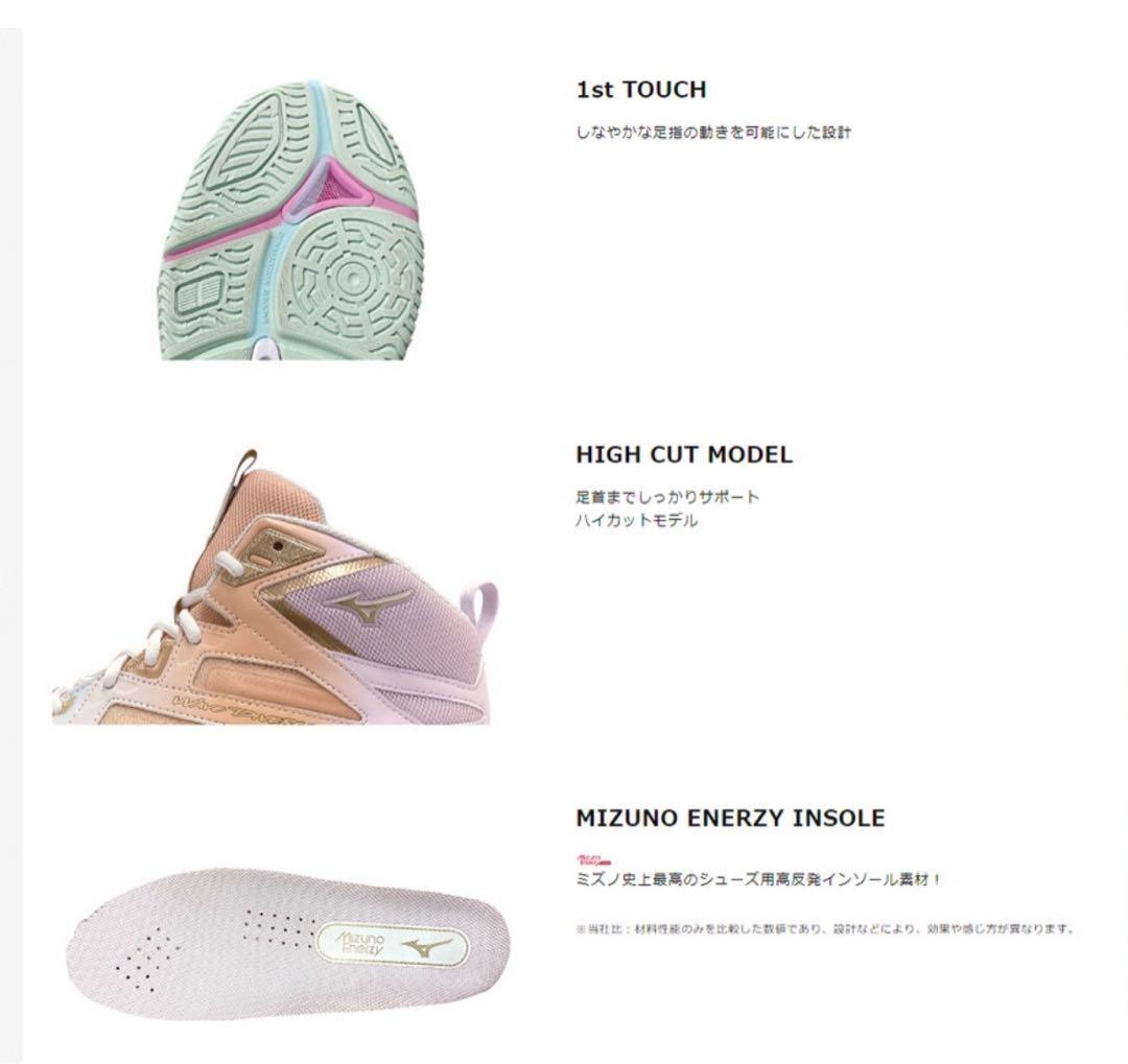 【新品】ミズノウェーブダイバースLG4 限定色　24cm フィットネスシューズ