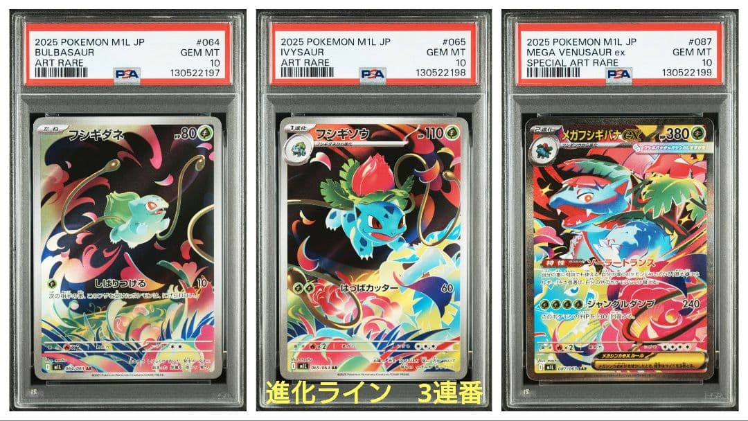 【PSA10 3連番】メガフシギバナex SAR フシギダネ フシギソウ AR