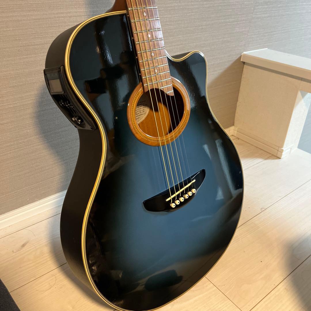 【生産完了品】YAMAHA APX-6S