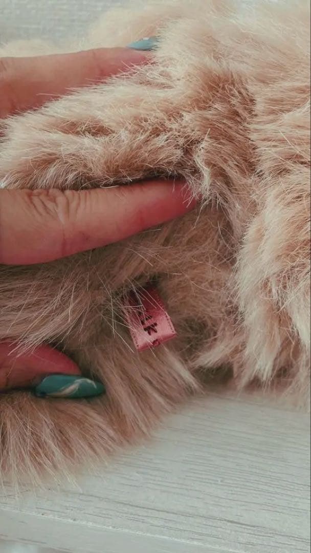 リカ⭐︎ベージュのふわふわポメラニアン♡