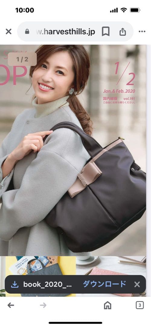 ANA 機内販売　ノーリーズ　バッグ