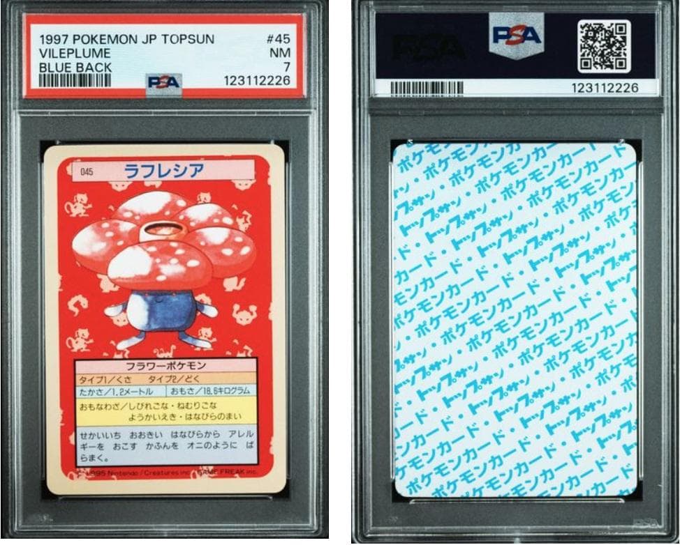 【PSA7】ポケモンカード　トップサン　青裏　計6枚
