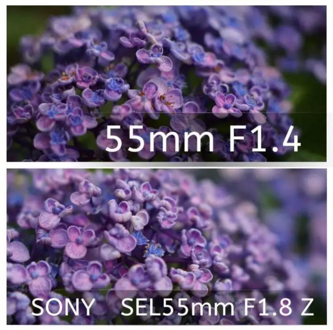 SONYミラーレス用単焦点レンズ55mm F1.4 ボケ味最高！サードパーティ製