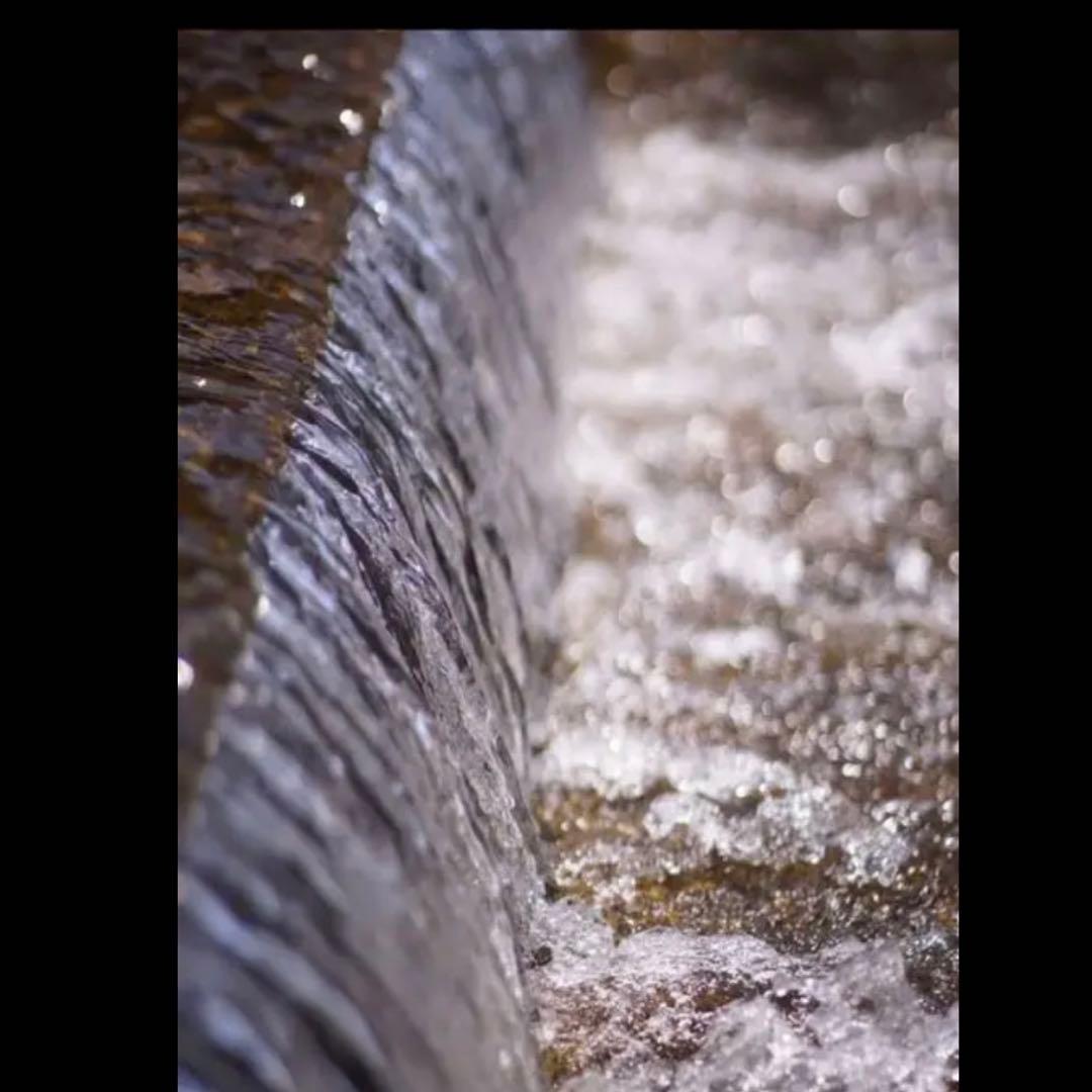 SONYミラーレス用単焦点レンズ55mm F1.4 ボケ味最高！サードパーティ製