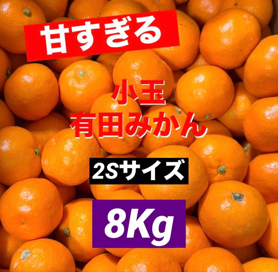 229)数量限定　甘すぎる　有田みかん　果物 　みかん　小玉　旬