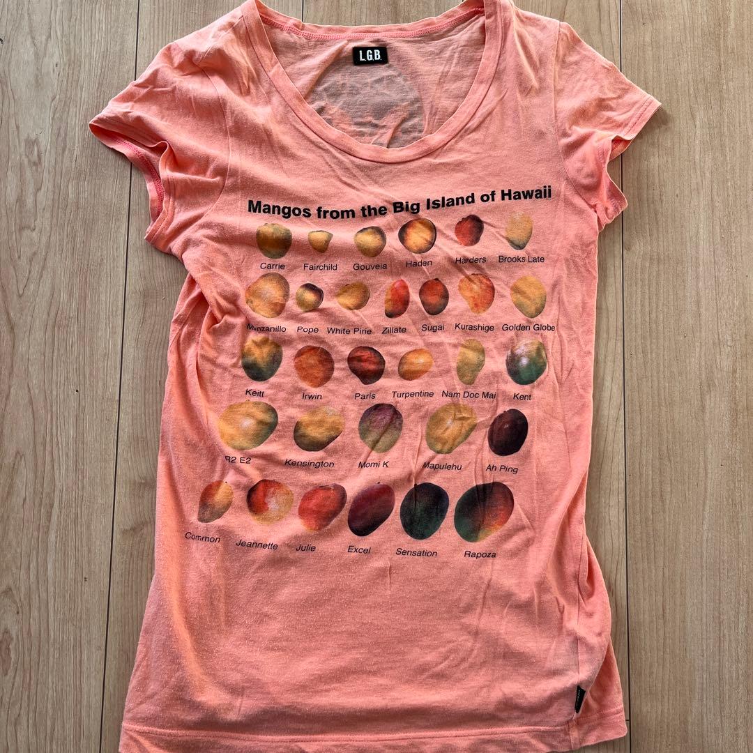 L.G.B. Tシャツ マンゴー