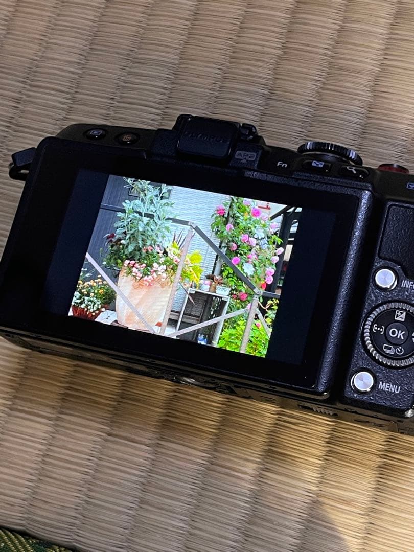 OLYMPUS PENLITE E-PL6 ボディ本体
