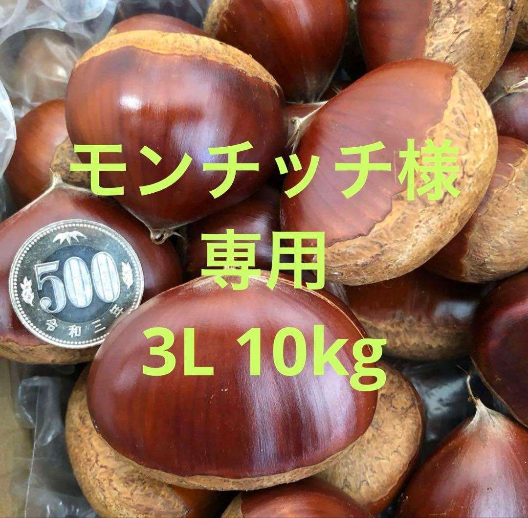 ギャッツビー 栗10kg