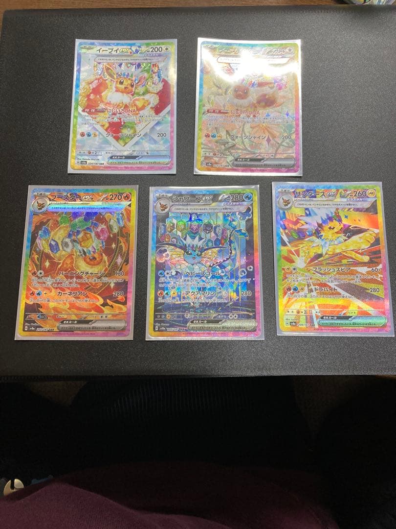 ブイズSAR テラスタルフェスex