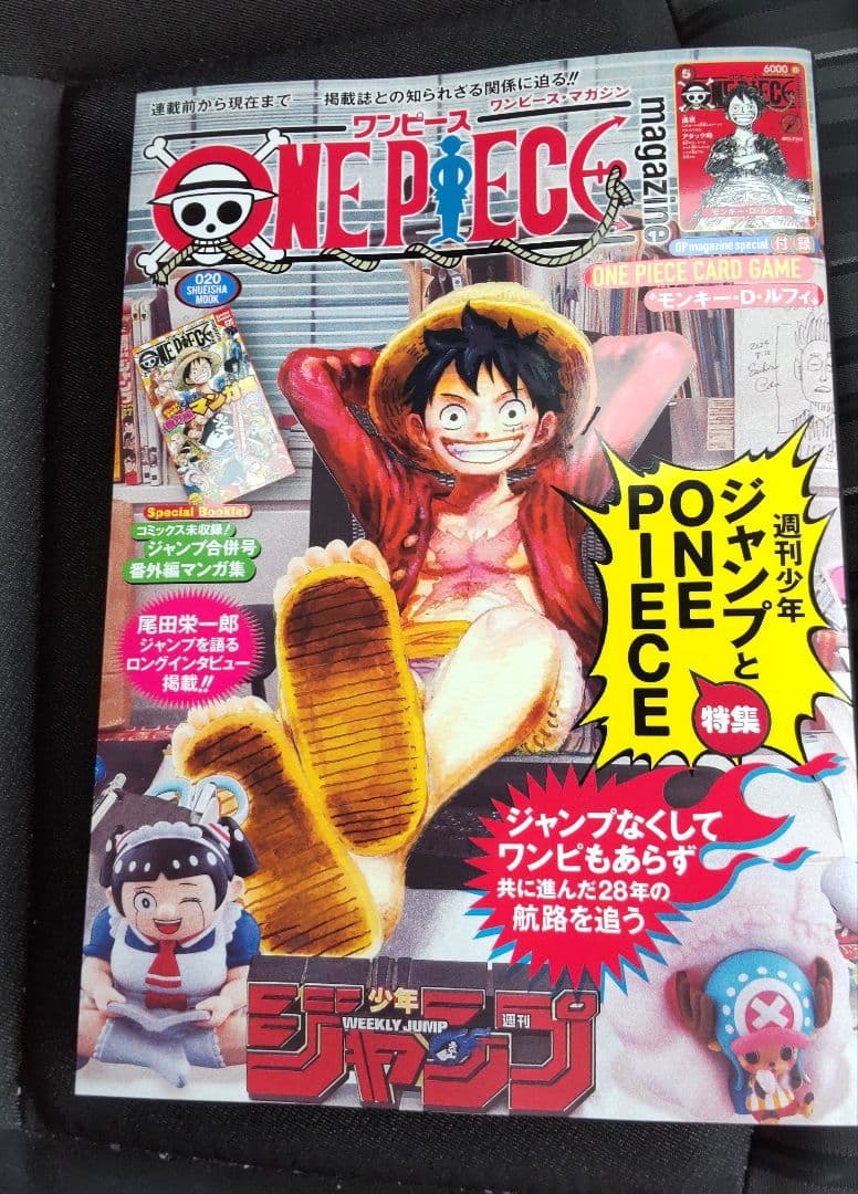 ONE PIECE magazine 20号【プロモ付き】