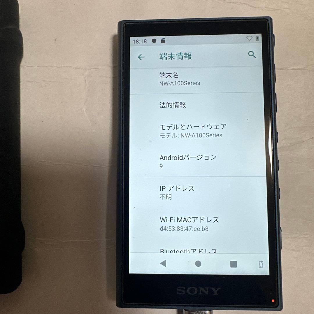 SONY ウォークマン シリコンケース付き