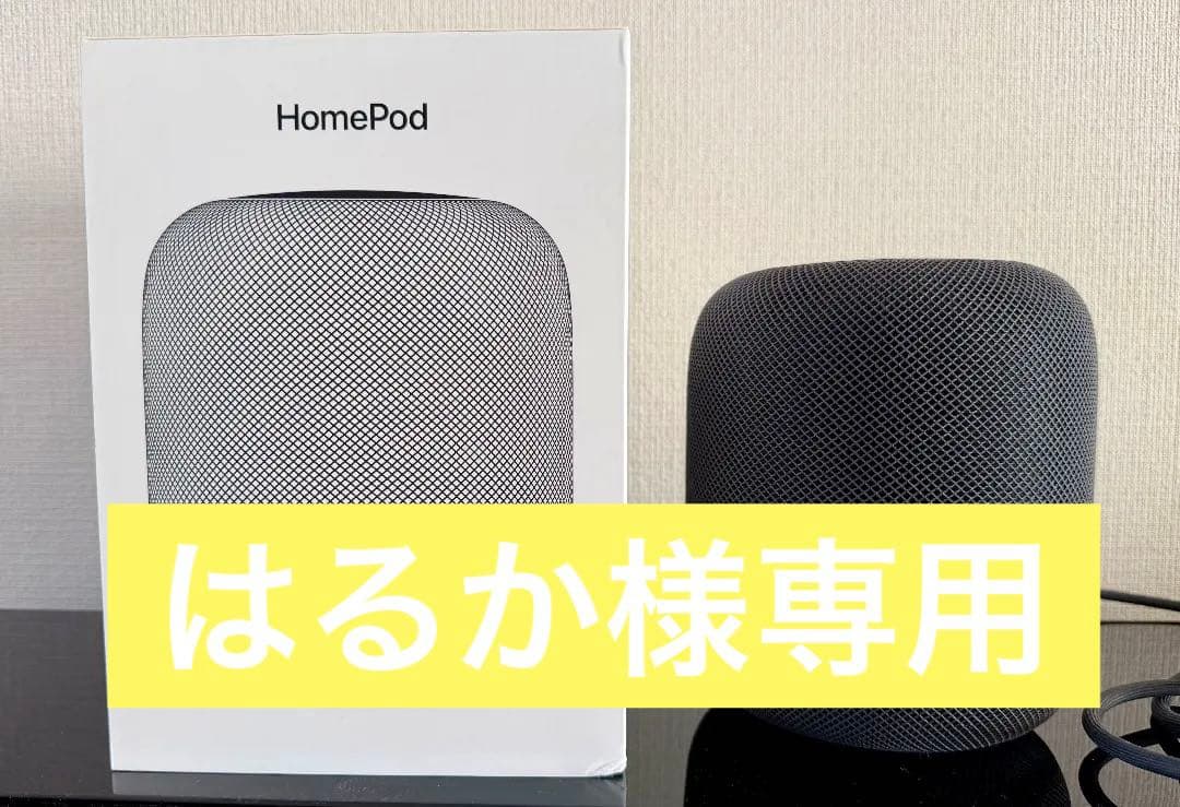 Apple Pod 　第1世代　スペースグレー【美品】　2台セット