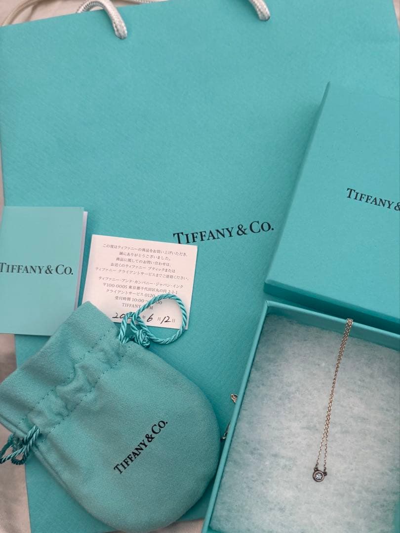 Tiffany& Co. ネックレス