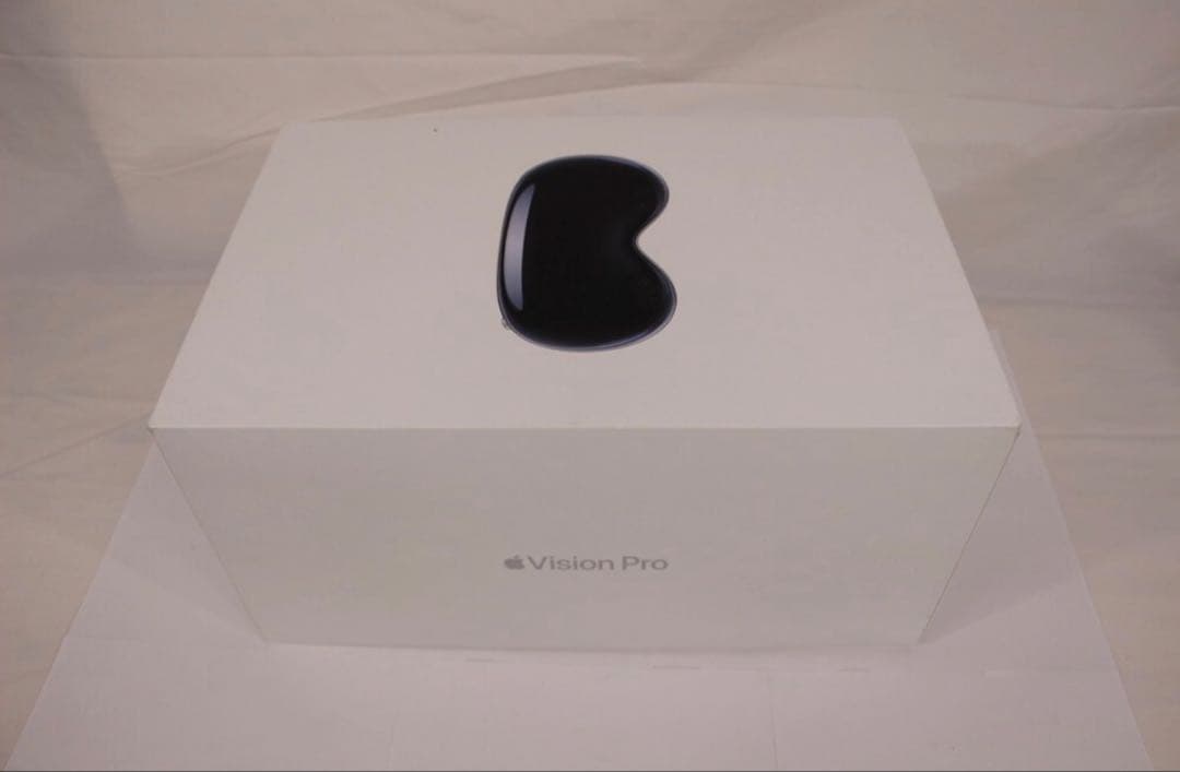 Apple Vision Pro ブラック