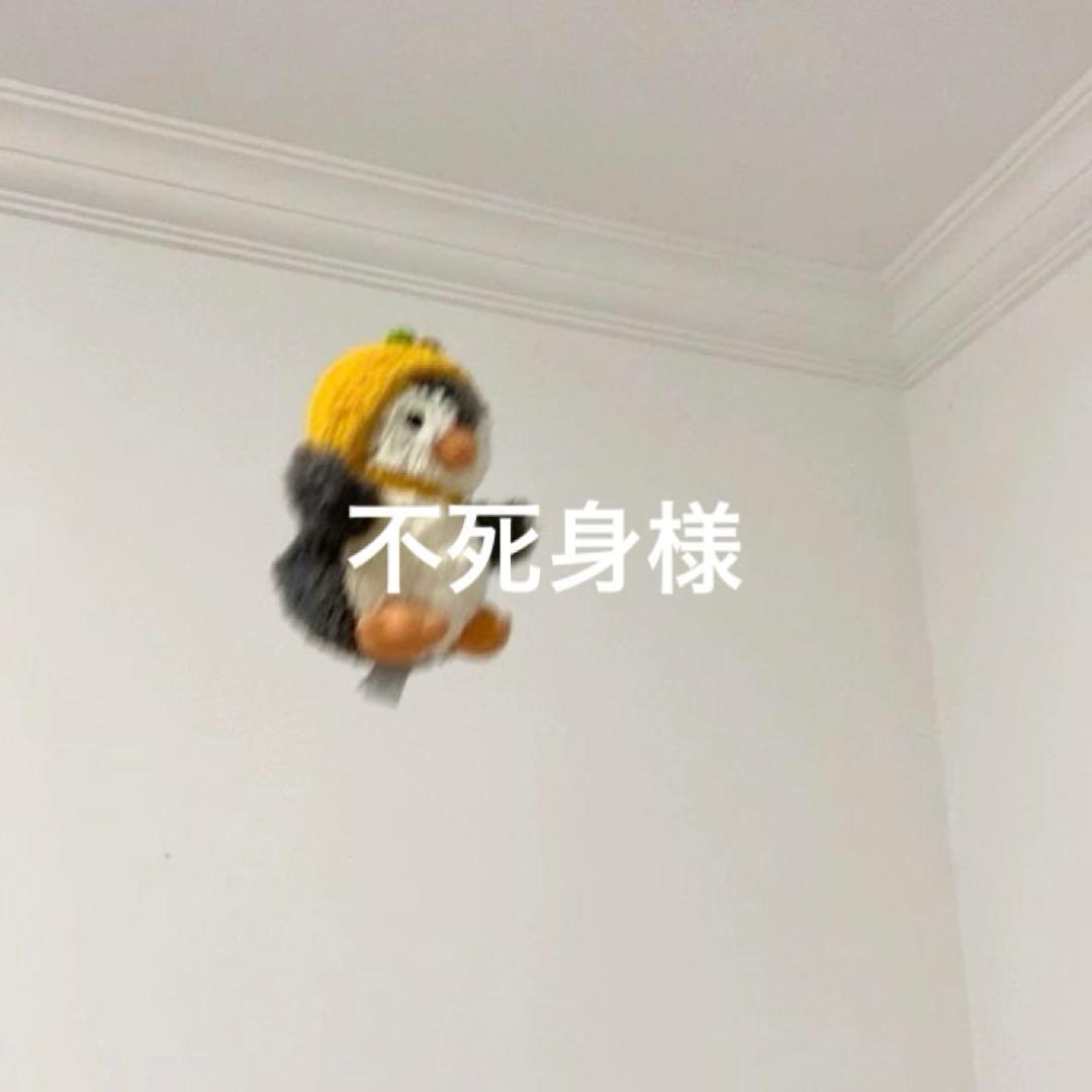 不死身ページ &TEAM HARUA 雪明かり　ラキドロ　手書き　2枚