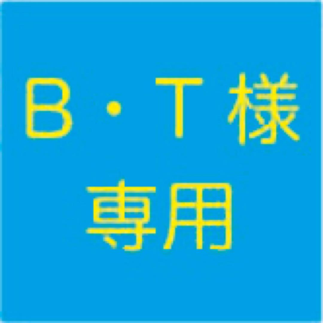 【B.T 1/4】元商品ID m29069926058