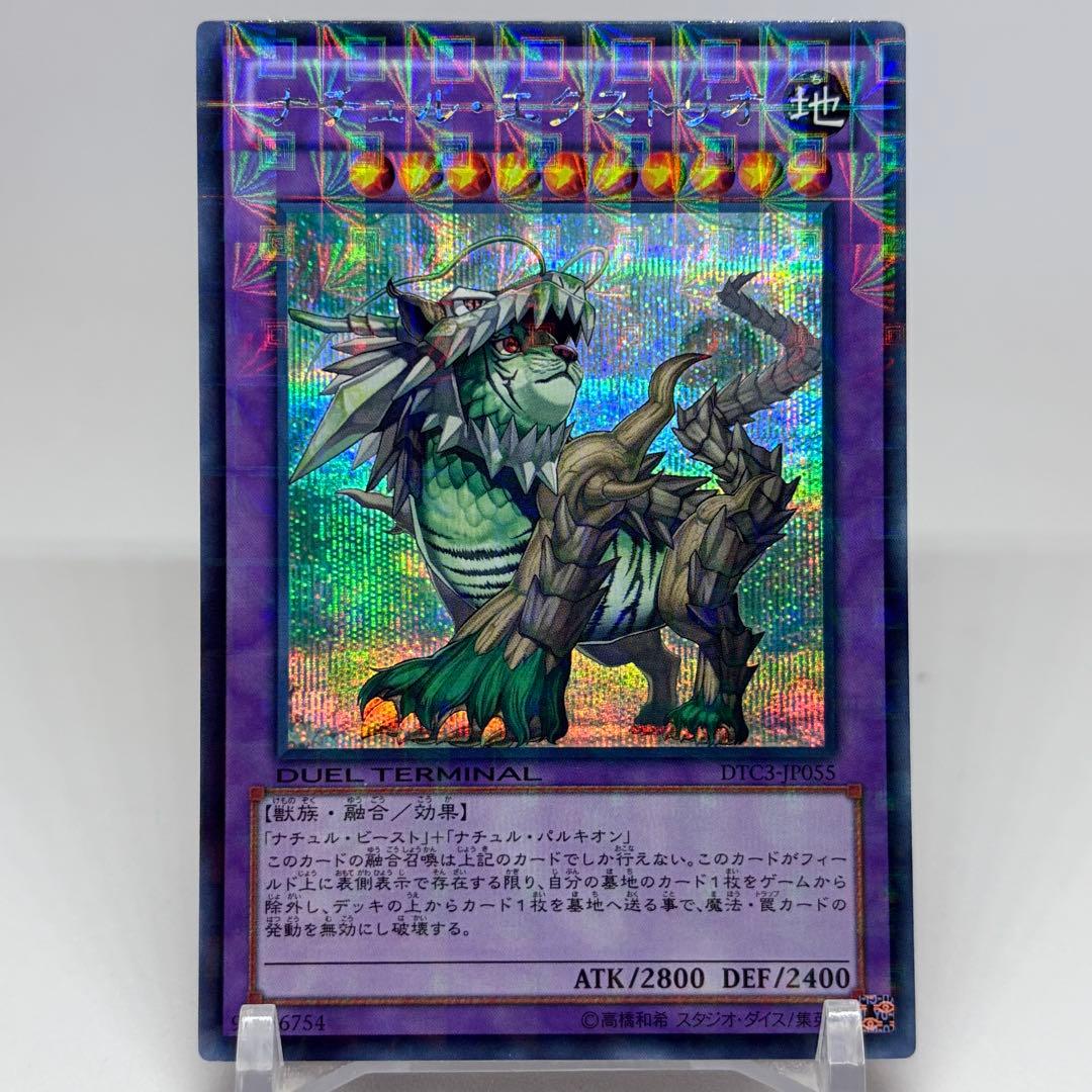 ナチュルエクストリオ　DTC　シークレット