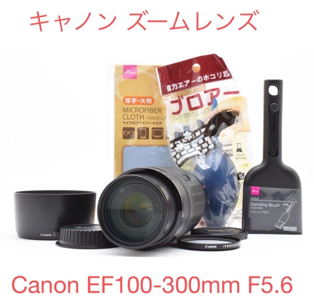 キャノン 望遠 ズームレンズ Canon EF100-300mm F5.6
