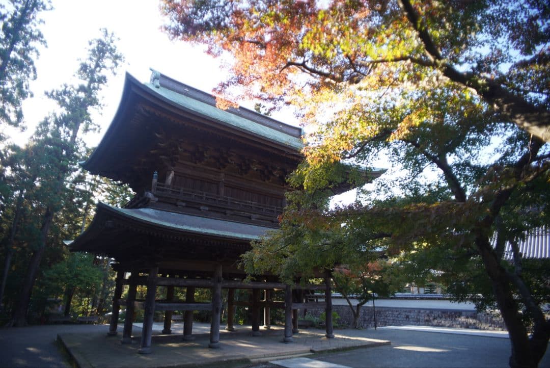 【良品】OLYMPUS OM G.ZUIKO 21mm f3.5 純正付属品付