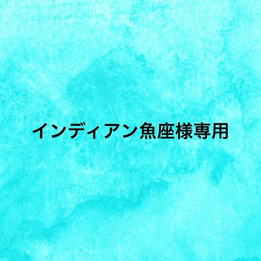 インディアン魚座