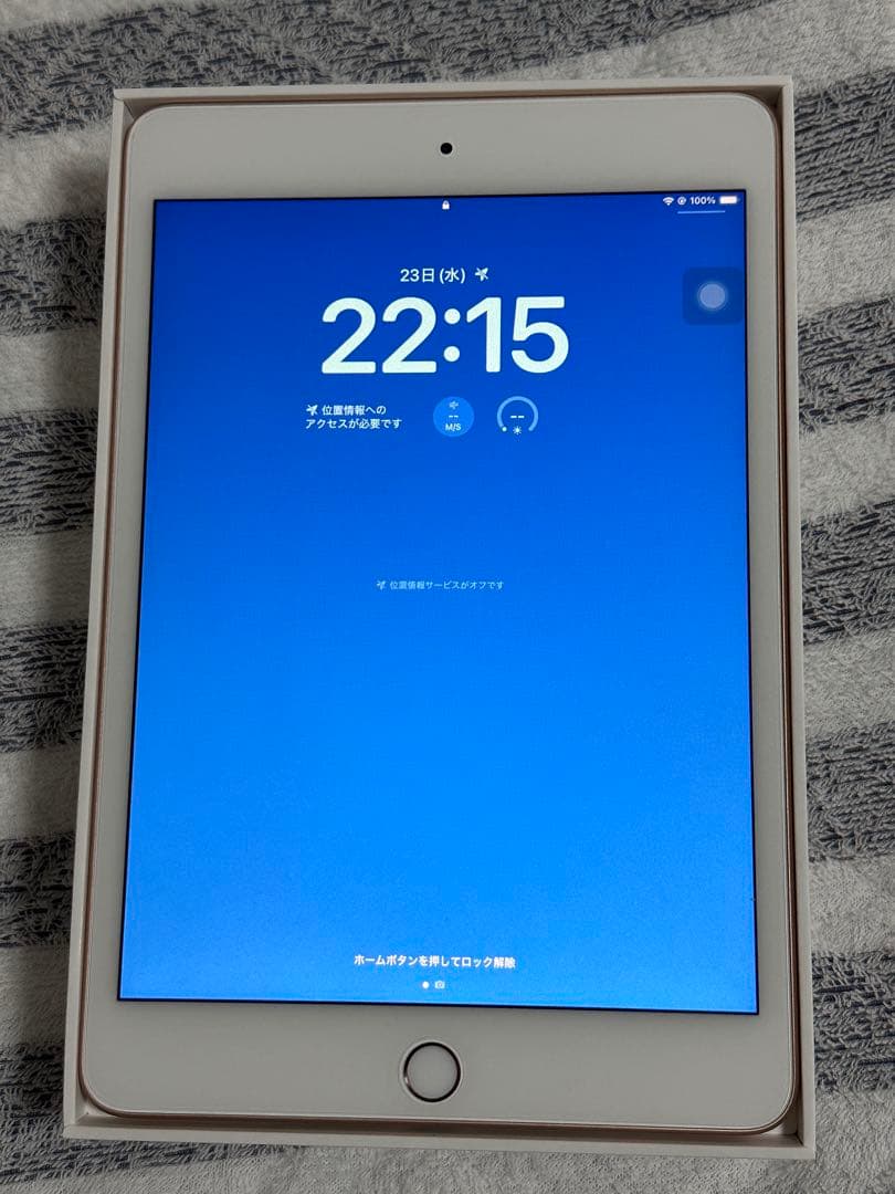 iPad mini 5 64GB Wi-Fiモデル ゴールド