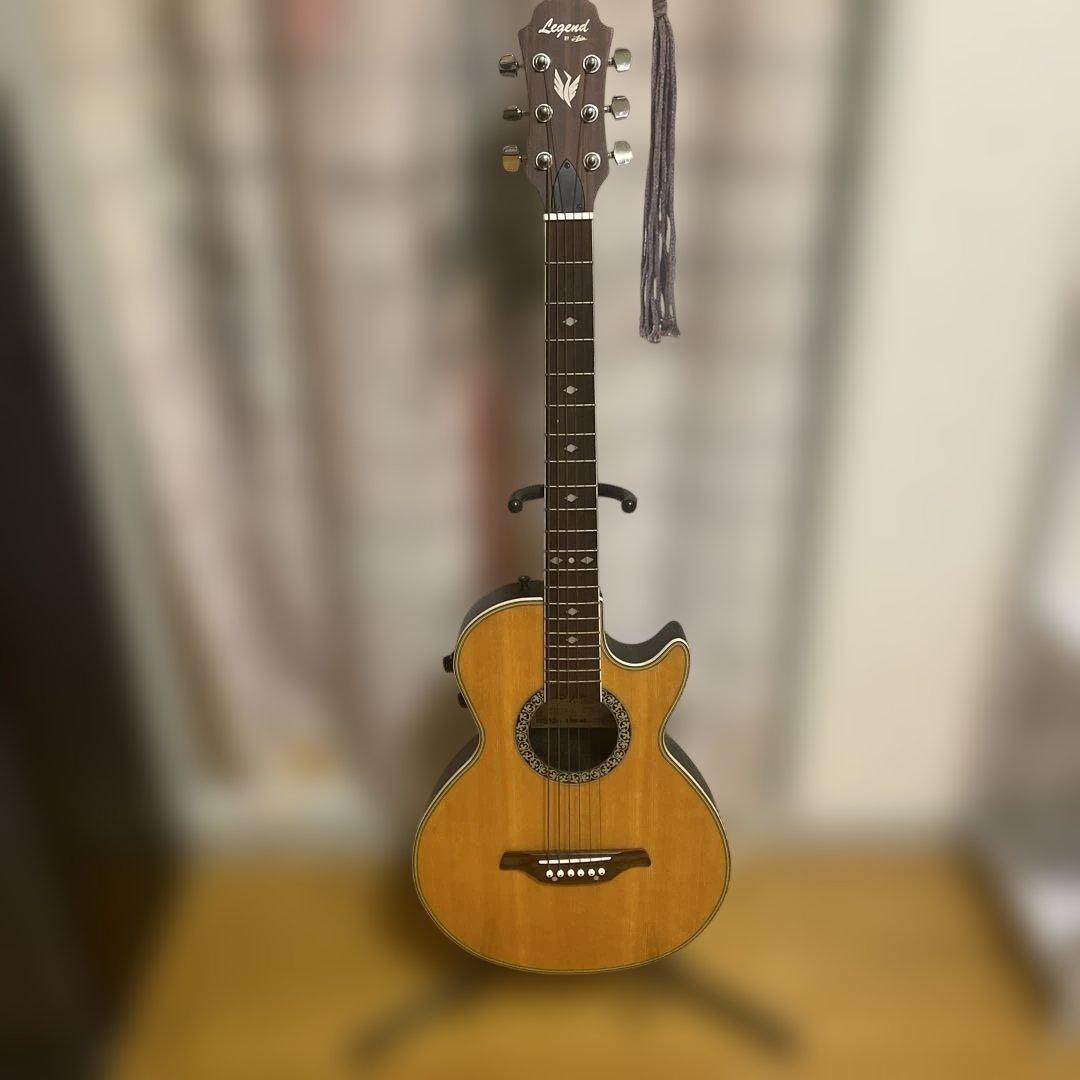 Legend by Aria エレアコ カッタウェイ ソフトケース付き