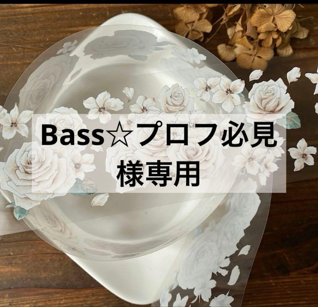 Bass☆プロフ必見